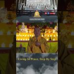 Living in Peace, Step by Step | Master Thich Dao Thinh | Thich Dao Thinh Quotes