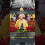 Living in the Present Following the Buddha’s Teachings | Master Thich Dao Thinh