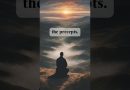 Merit: The Bridge to Enlightenment | Master Thich Dao Thinh | Thich Dao Thinh Quotes