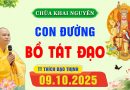 Pháp Thoại – Con Đường Bồ Tát Đạo │TT. Thích Đạo Thịnh