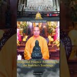 Study and Practice According to the Buddha’s Teachings | Master Thich Dao Thinh