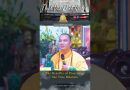 The Benefits of Practicing the True Dharma | Master Thich Dao Thinh | Thich Dao Thinh Quotes