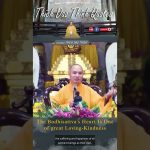 The Bodhisattva’s Heart Is One of great Loving Kindness | Master Thich Dao Thinh