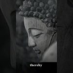 The Buddha’s Teachings Are For Everyone | Master Thich Dao Thinh | Thich Dao Thinh Quotes