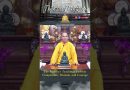 The Buddha’s Teachings on Life Embody Compassion, Wisdom, and Courage | Master Thich Dao Thinh