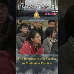 The Importance of a Teacher in Meditation Practice | Master Thich Dao Thinh | Thich Dao Thinh Quotes