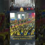 The Purpose of Chanting and Reciting Buddhist Sutras |Master Thich Dao Thinh| Thich Dao Thinh Quotes