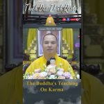 To Practice Is to Transform Oneself | Master Thich Dao Thinh | Thich Dao Thinh Quotes