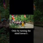 Turn the Mind Inward for Peace  | Master Thich Dao Thinh | Thich Dao Thinh Quotes