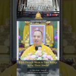 What Does It Mean to Take Refuge in the Three Jewels | Master Thich Dao Thinh|Thich Dao Thinh Quotes