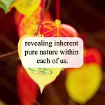 What Does Practice Mean? | Master Thich Dao Thinh | Thich Dao Thinh Quotes