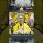 Where Does Karma Come From | Master Thich Dao Thinh | Thich Dao Thinh Quotes