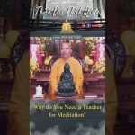 Why do You Need a Teacher for Meditation | Master Thich Dao Thinh | Thich Dao Thinh Quotes