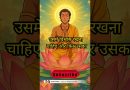 बुद्ध की शिक्षाएँ हमें स्वयं अनुभव करनी चाहिए। | Acharya Dhammayasha | आचार्य धम्मयश