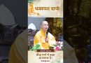 बौद्ध मार्ग में श्रद्धा आवश्यक है। | Acharya Dhammayasha | आचार्य धम्मयश