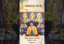 बौद्ध साधना में कैसे भ्रमित न हों। | Acharya Dhammayasha | आचार्य धम्मयश