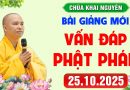 [ 25.10.2025 ] Vấn Đáp Phật Pháp – Pháp Hội Địa Tạng Chùa Khai Nguyên │Thầy Thích Đạo Thịnh