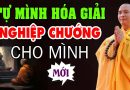 3 Cách Tự Mình Hóa Giải Nghiệp Chướng Cho Mình  ( mới nhất 26.11.2023 ) – Thầy Thích Đạo Thịnh