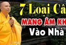7 Loại cây dù thích đến mấy cũng tuyệt đối KHÔNG ĐƯỢC TRỒNG sẽ mang ÂM KHÍ VÀO NHÀ ( Mới )