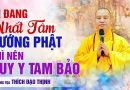 Ai Đang Nhất Tâm Hướng Phật Thì Nên Quy Y Tam Bảo | Thượng Tọa Thích Đạo Thịnh