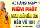Ai Hằng Ngày Niệm Phật Tại Nhà Phải Biết Điều Này Kẻo Vô Ích – Thầy Thích Đạo Thịnh.