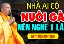Ai đang NUÔI GÀ trong nhà KHÔNG ĐƯỢC QUÊN những điều này ( quan trọng ) – Thầy Thích Đạo Thịnh