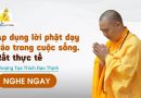 Áp Dụng Lời Phật Dạy Vào Trong Cuộc Sống. Rất Thực Tế |Thượng Tọa Thích Đạo Thịnh