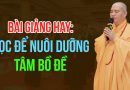 Bài Giảng Hay: Học Để Nuôi Dưỡng Tâm Bồ Đề