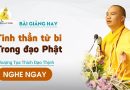 Bài Giảng Hay  Tinh Thần Từ Bi Trong Đạo Phật |Thượng Tọa Thích Đạo Thịnh