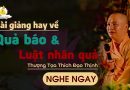 Bài Giảng Hay Về Quả Báo & Luật Nhân Quả |Thượng Tọa Thích Đạo Thịnh