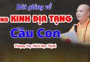Bài Giảng Về Tụng Kinh Địa Tạng Cầu Con | Thượng Tọa Thích Đạo Thịnh