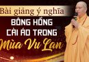 Bài Giảng Ý Nghĩa Bông Hồng Cài Áo Trong Mùa Vu Lan