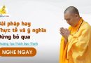 Bài Pháp Hay Thực Tế Và Ý Nghĩa Đừng Bỏ Qua |Thượng Tọa Thích Đạo Thịnh