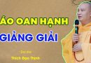 Báo Oan Hạnh – Giảng Giải| Thầy Thích Đạo Thịnh