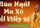 Bùa Ngải Và Ma Xó Nỗi Kinh Hoàng Của Nhiều Người L Đ.Đ Thích Đạo Thịnh