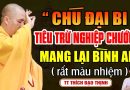 CHÚ ĐẠI BI GIÚP TIÊU TRỪ NGHIỆP CHƯỚNG MANG LẠI BÌNH AN ( RẤT MÀU NHIỆM ) | Thầy Thích Đạo Thịnh