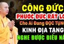 CÔNG ĐỨC PHƯỚC ĐỨC RẤT LỚN CHO AI ĐANG ĐỌC TỤNG KINH ĐỊA TẠNG NGHE ĐƯỢC ĐIỀU NÀY | Thầy Đạo Thịnh