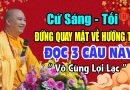 CỨ SÁNG TỐI QUAY ĐỨNG QUAY MẶT VỀ HƯỚNG TÂY ĐỌC 3 CÂU NÀY VÔ CÙNG LỢI LẠC | Thầy Thích Đạo Thịnh