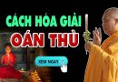 Cách Giải Trừ Oán Thù, Oan Gia Trái Chủ  – Thầy Thích Đạo Thịnh (XEM NGAY)