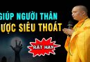 Cách Giúp người Thân Được Siêu Thoát, Giúp Dòng Họ Hóa Giải Cộng Nghiệp – Thầy Thích Đạo Thịnh