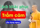 Cách Khắc Phục Trầm Cảm, Áp Dụng Ngay | Thầy Thích Đạo Thịnh