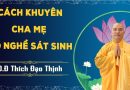 Cách Khuyên Cha Mẹ Bỏ Nghề Sát Sinh !! L Đ,Đ Thích Đạo Thịnh