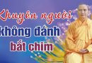 Cách Làm Cho Người Tin Nhân Quả Không Đánh Bắt Chim L Đ.Đ Thích Đạo Thịnh