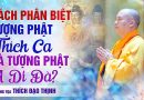 Cách Phân Biệt Tượng Phật Thích Ca Và Tượng Phật A Di Đà? | Thượng Tọa Thích Đạo Thịnh