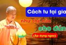 Cách Tu Tại Gia, Phát Nguyện Tu Thế Nào Cho Đúng – Áp Dụng Ngay | Thầy Thích Đạo Thịnh