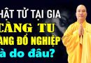 “Càng Tu Càng Đổ Nghiệp” là do đâu? Phật Tử tại gia đừng bỏ qua video này – ĐĐ. Thích Đạo Thịnh