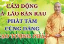 Câu Chuyện Cảm Động Bà Lão Bán Rau Phát Tâm Cúng Dàng Tạo Tượng Phật L Đ.Đ Thích Đạo Thịnh