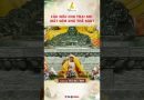 Cầu Siêu Cho Thai Nhi Mất Sớm Như Thế Nào? #Thaythichdaothinh #Chuakhainguyen