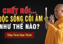 Chết rồi cuộc sống người CÕI ÂM sẽ như thế nào | Thầy Thích Đạo Thịnh