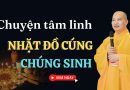 Chuyện Tâm Linh Có Thật, Nhặt Đồ Cúng Chúng Sinh L Thầy Thích Đạo Thịnh